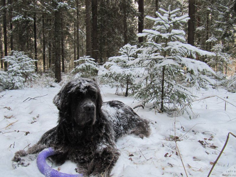 Фотография № 198795