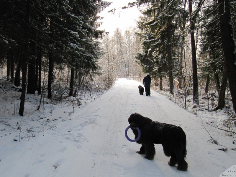 Фотография № 198796