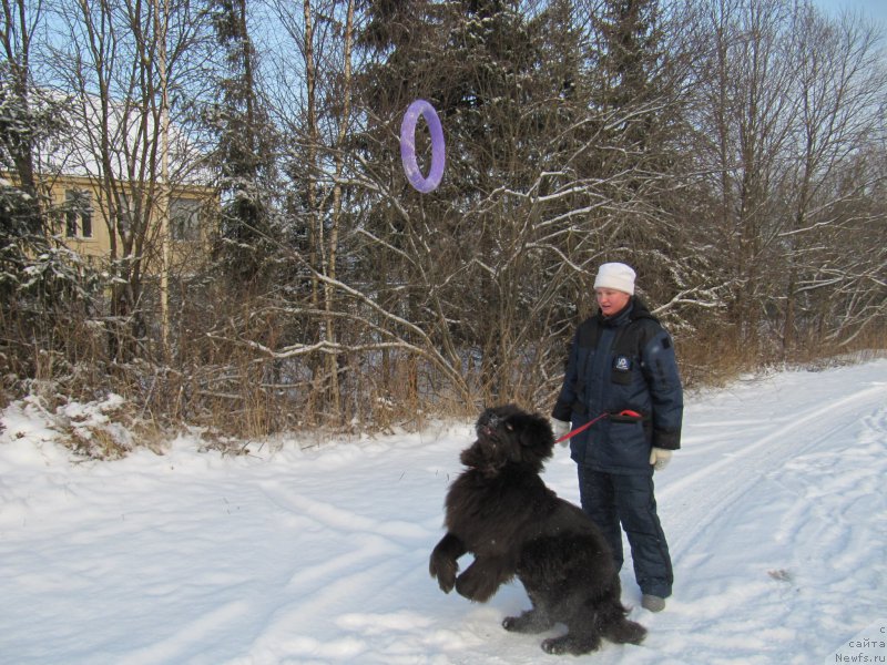 Фотография № 198799