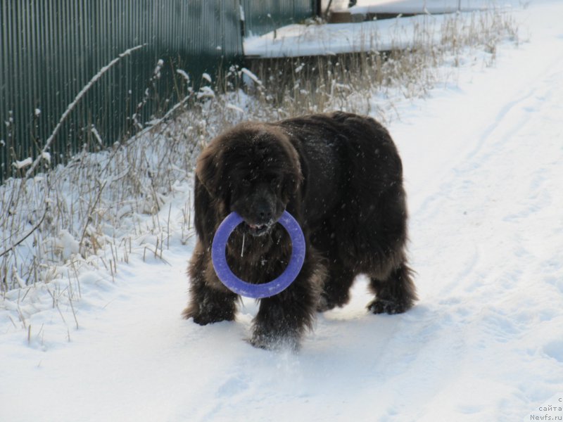 Фотография № 198800