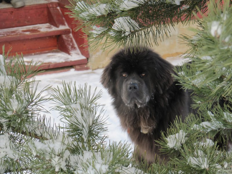 Фотография № 198801