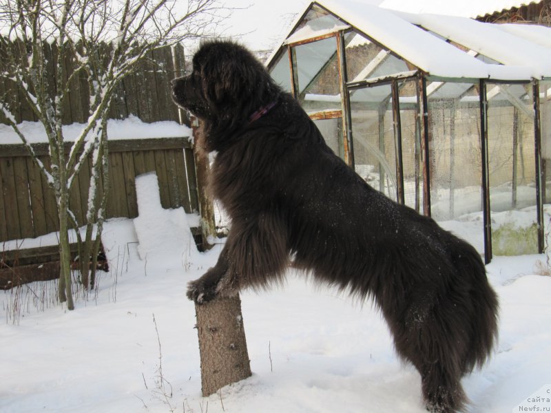 Фотография № 198802