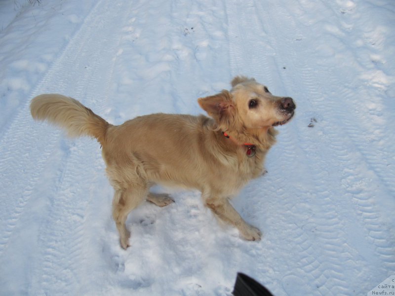 Фотография № 198803