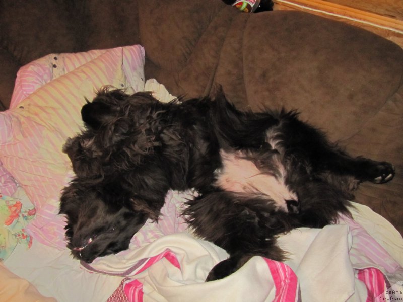 Фотография № 198808