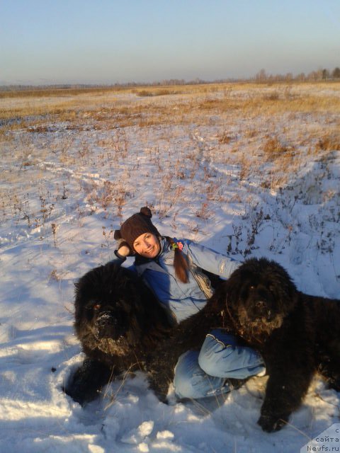 Фотография № 198814