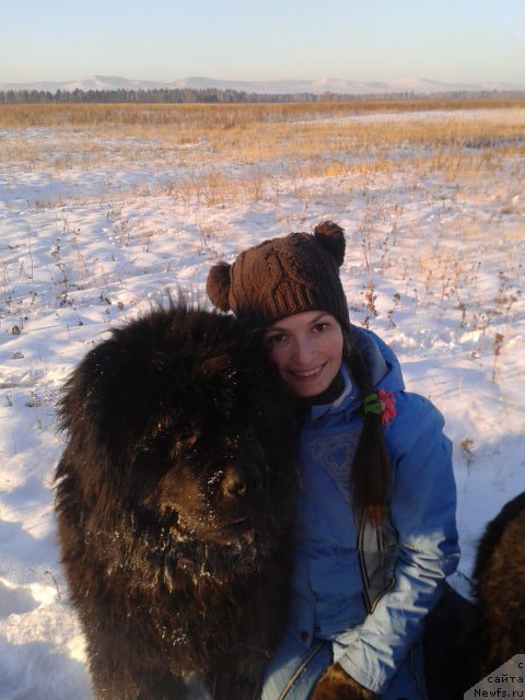 Фотография № 198816