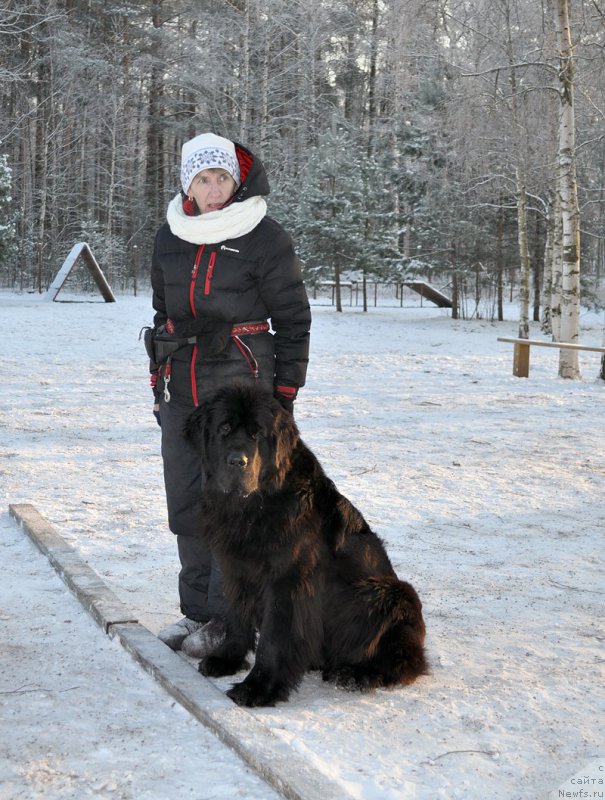 Фото: ньюфаундленд Beguschaya po Volnam SHangri-La (Бегущая по Волнам Шангри-Ла)