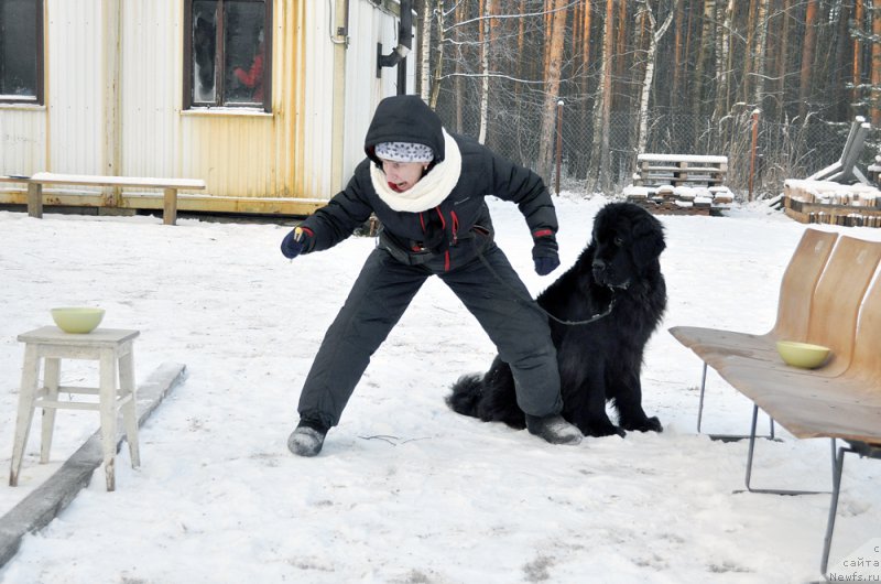 Фотография № 198830