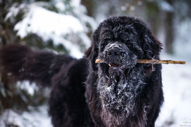 Фотография № 198832