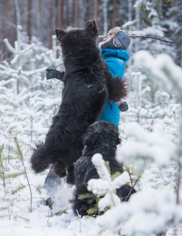 Фотография № 198837