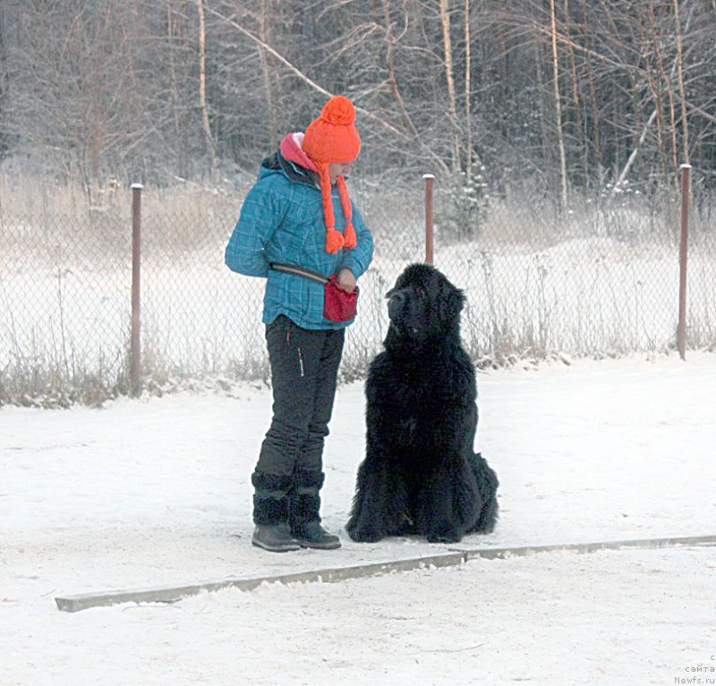 Фотография № 198845