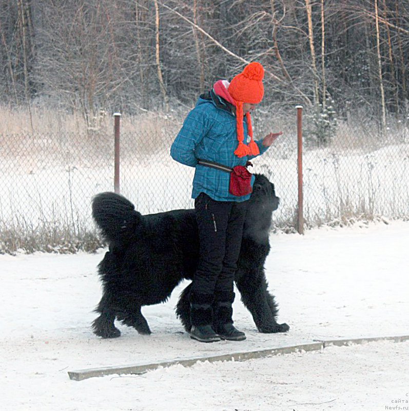 Фотография № 198846