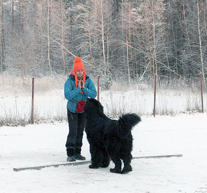 Фотография № 198848