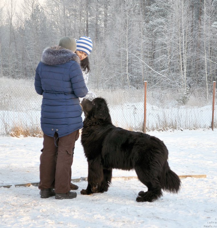 Фотография № 198852