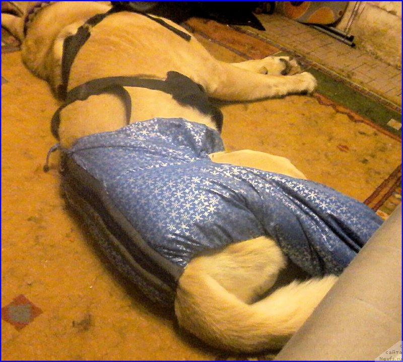 Фотография № 198853