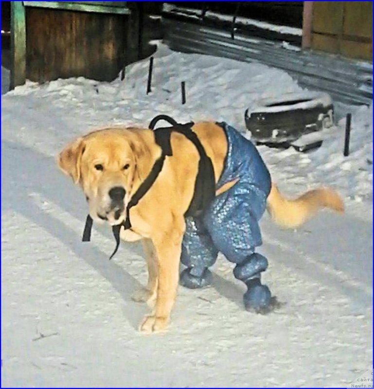 Фотография № 198854