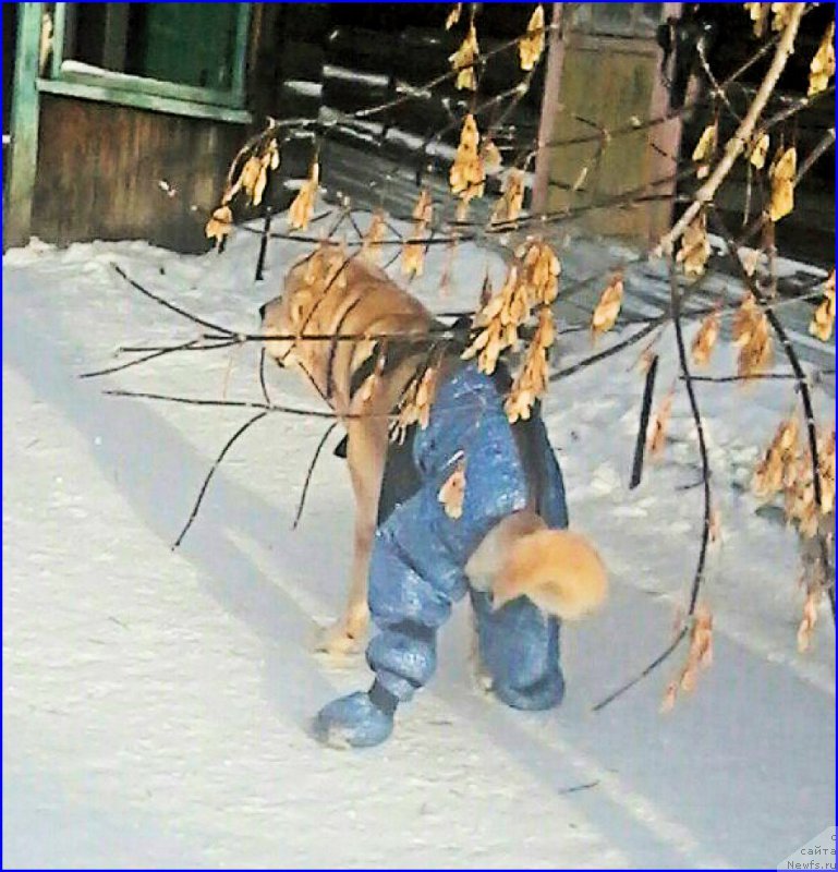 Фотография № 198856