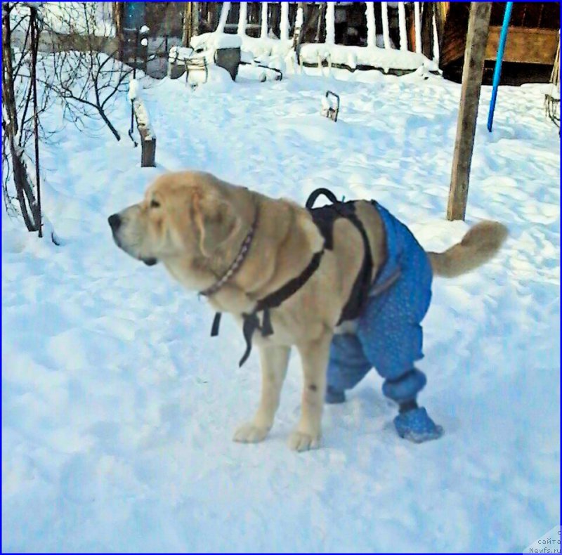 Фото: Lena Zyirina (Лена Зырина)