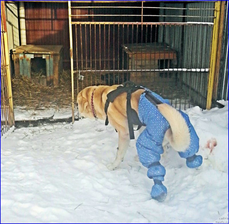 Фотография № 198860