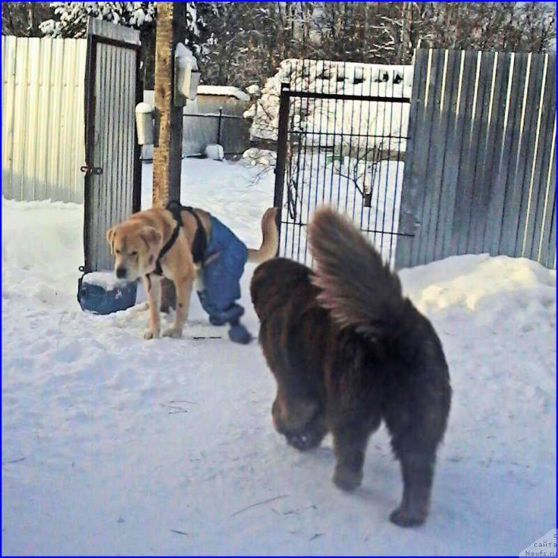 Фотография № 198861