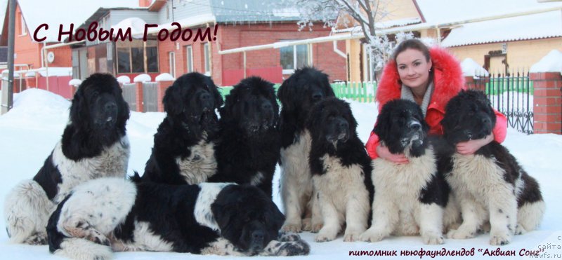 Фотография № 198864