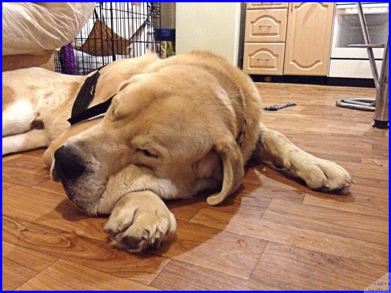 Фотография № 198869