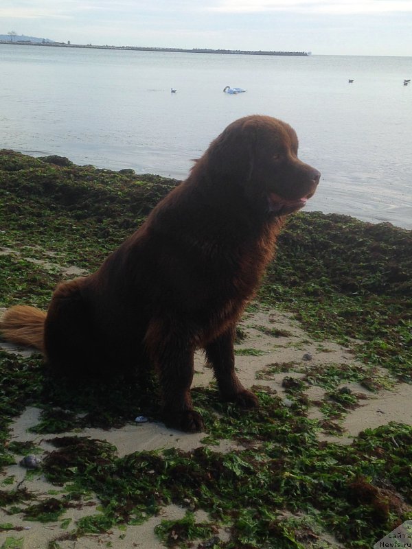 Фотография № 198870