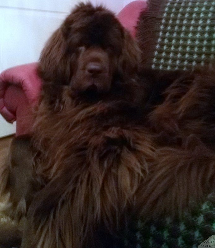 Фотография № 198882