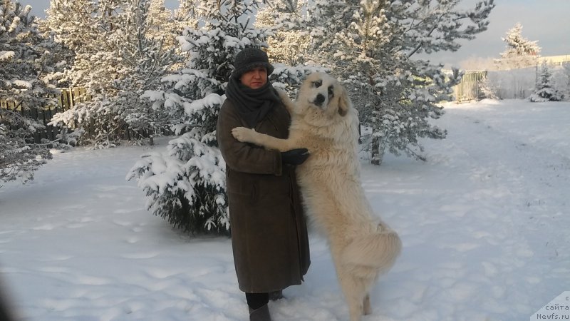 Фотография № 198895