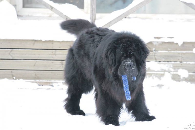 Фотография № 198923