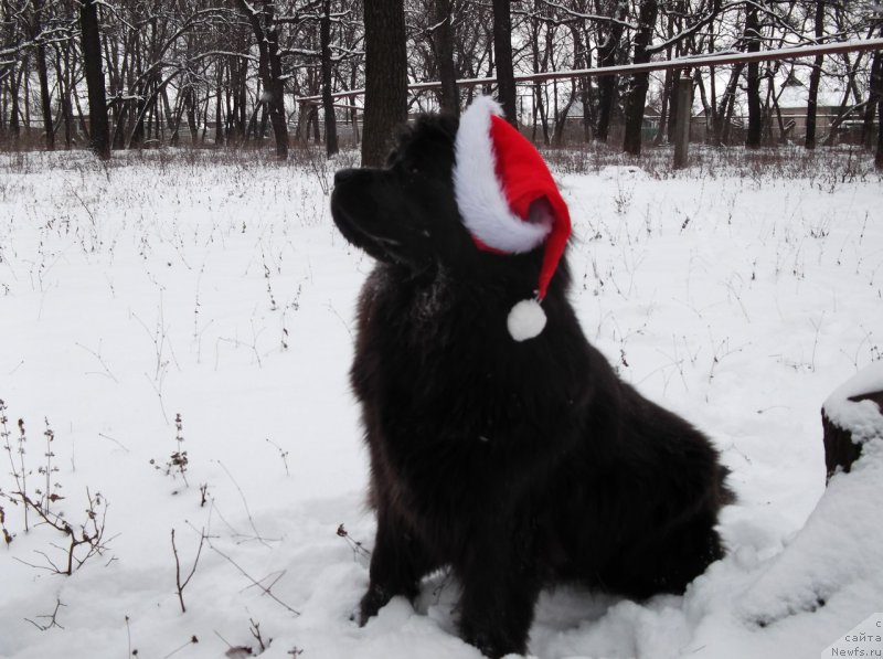 Фотография № 198937