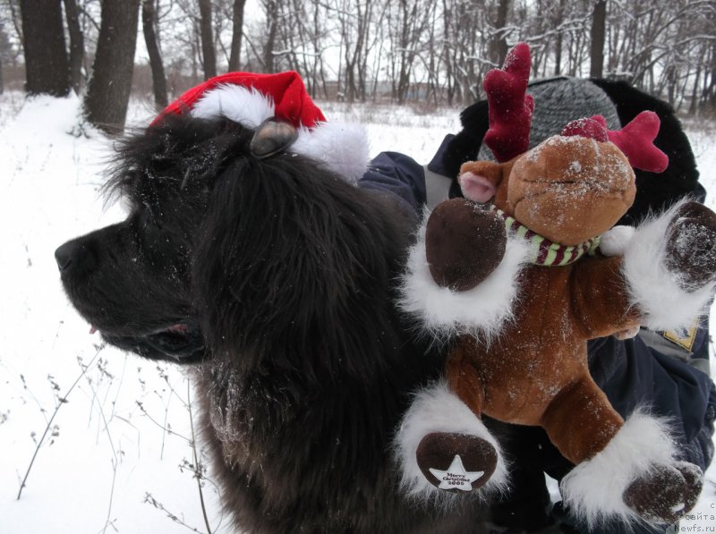 Фотография № 198938