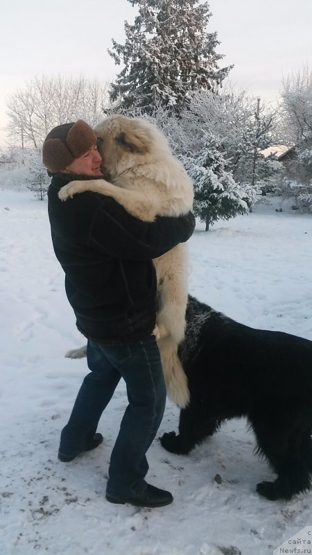 Фотография № 198957