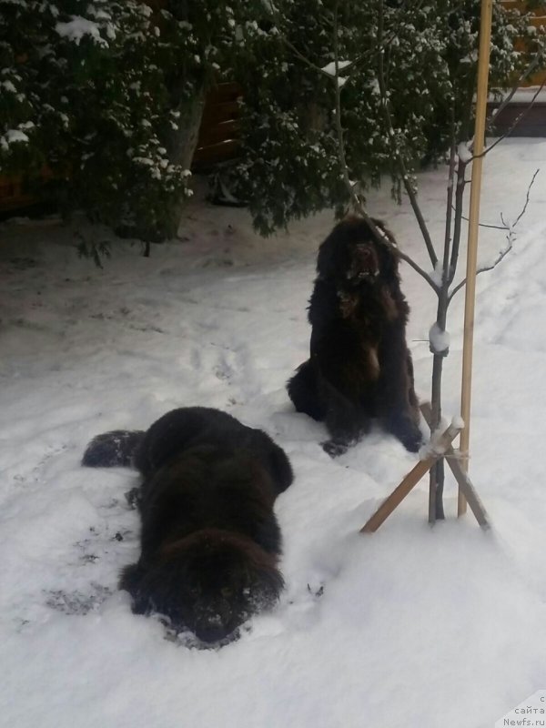 Фотография № 198966