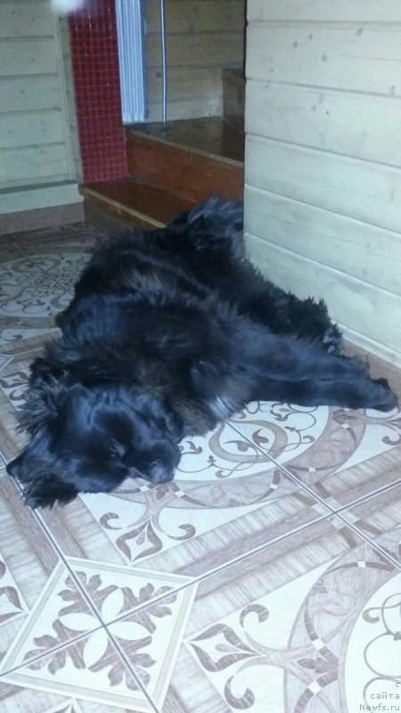 Фотография № 198967