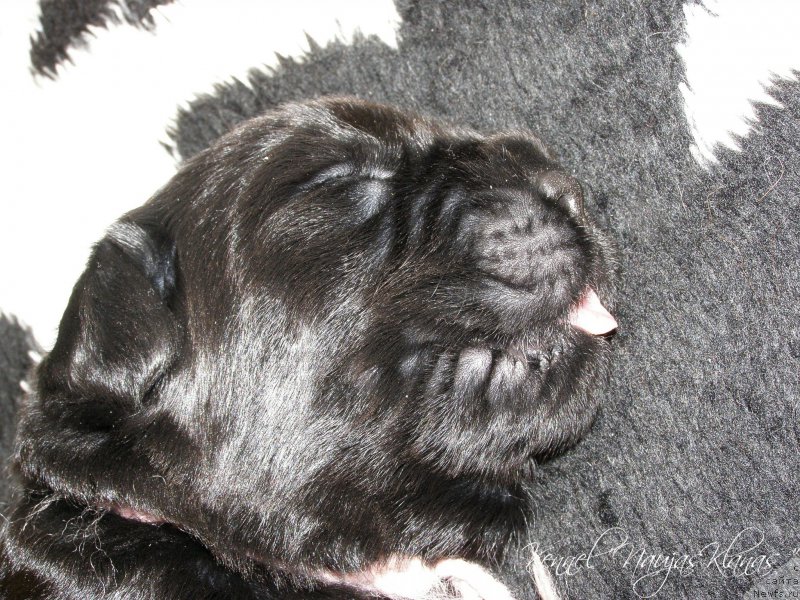 Фотография № 198987