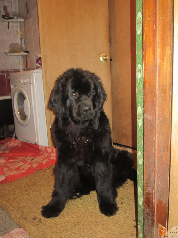 Фото: Natal'ya Smazchikova (Наталья Смазчикова)