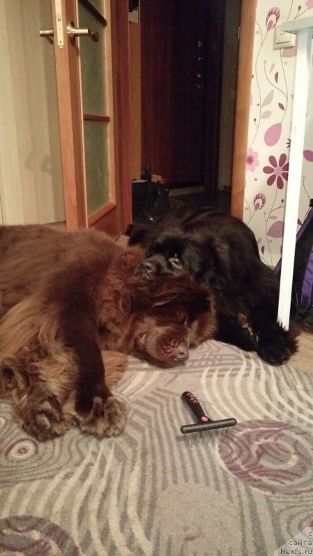 Фотография № 199030