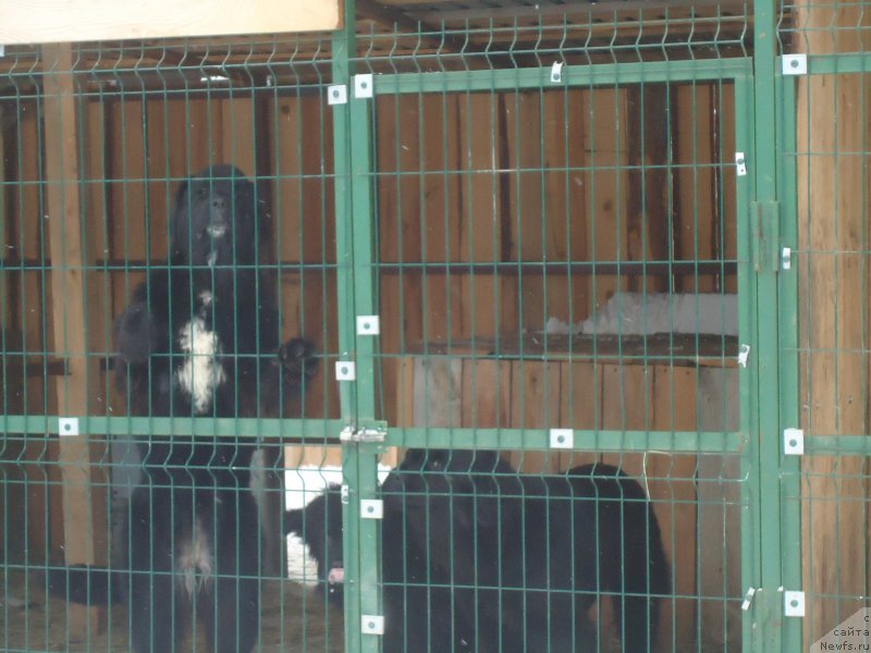 Фотография № 199031