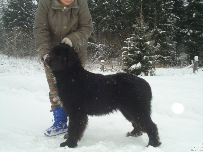 Фотография № 199032