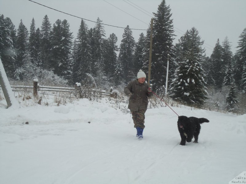 Фотография № 199036