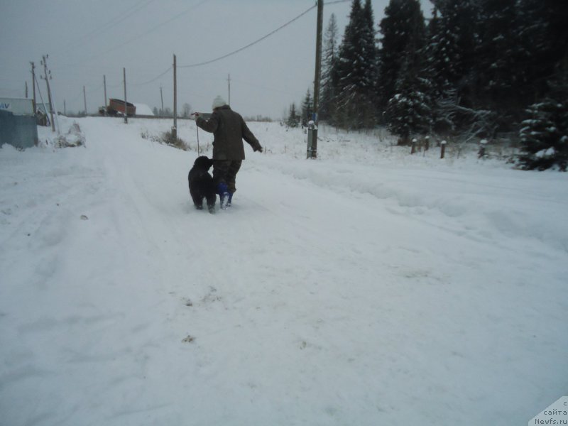 Фотография № 199039