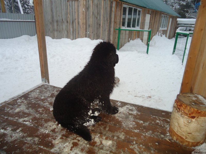 Фотография № 199041