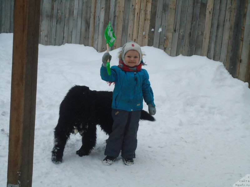 Фотография № 199043