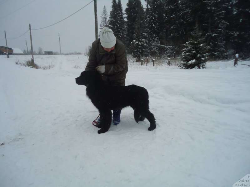 Фотография № 199044