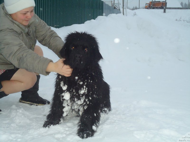 Фотография № 199046