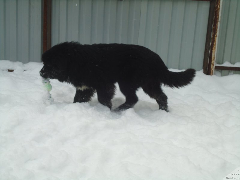 Фотография № 199053