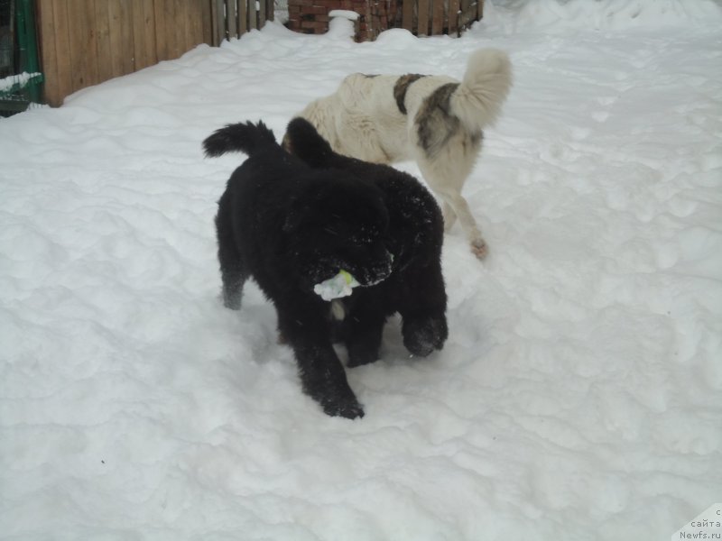 Фотография № 199059