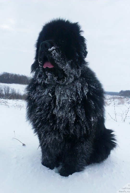 Фото: Мишаня.