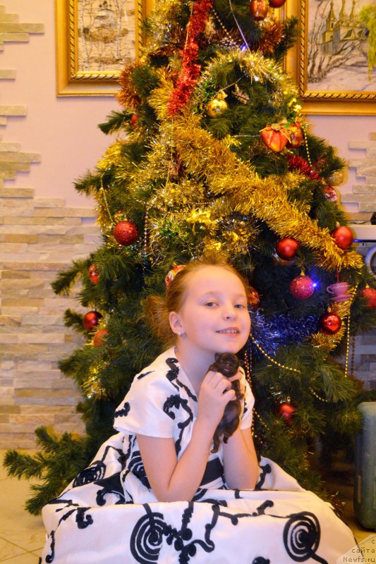 Фотография № 199075